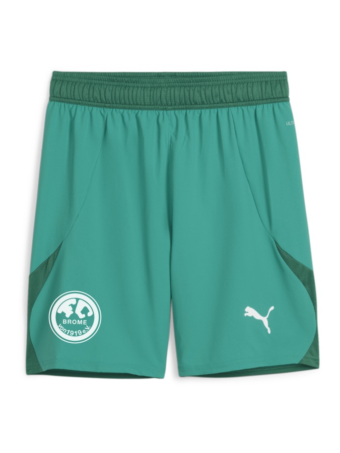 PUMA teamFINAL Shorts