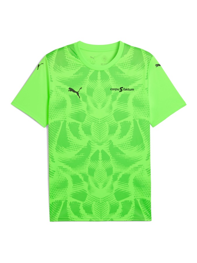 PUMA teamULTIMATE Trikot