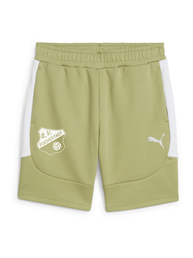 PUMA teamEVOSTRIPE Shorts