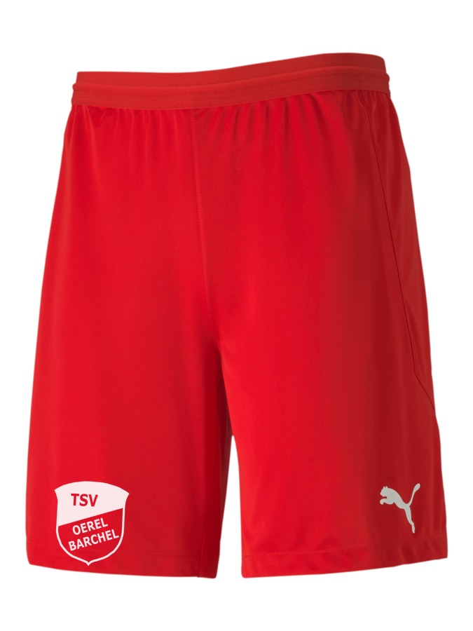 PUMA teamFINAL 21 Knit Shorts