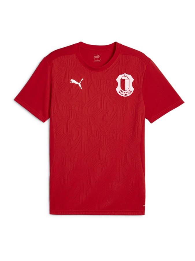 PUMA teamFINAL Trainingsshirt