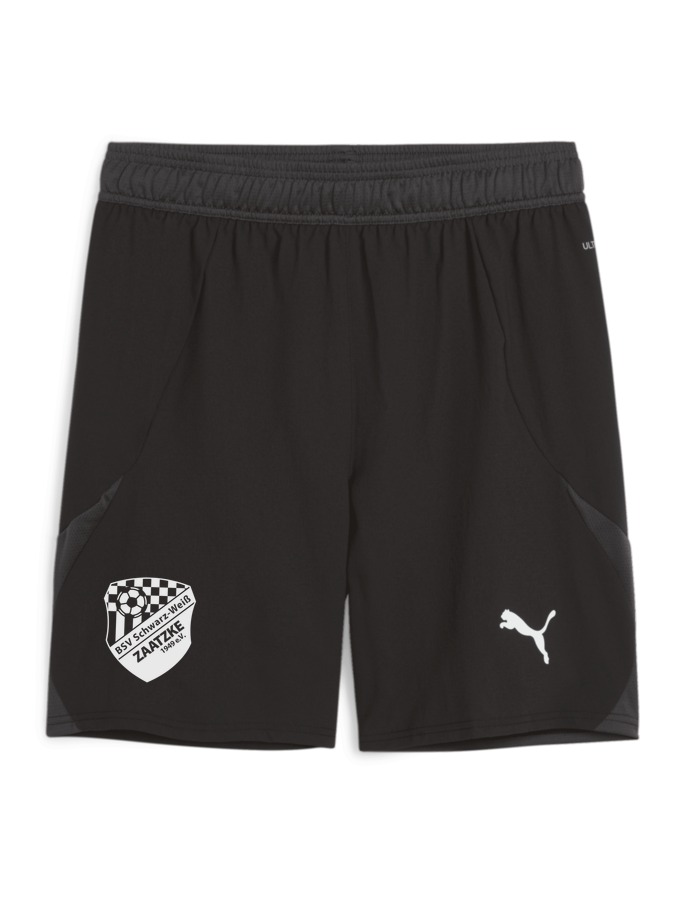 PUMA teamFINAL Shorts