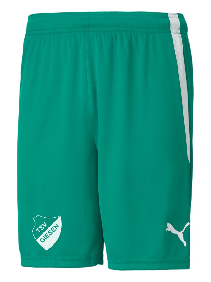 PUMA teamLIGA Shorts
