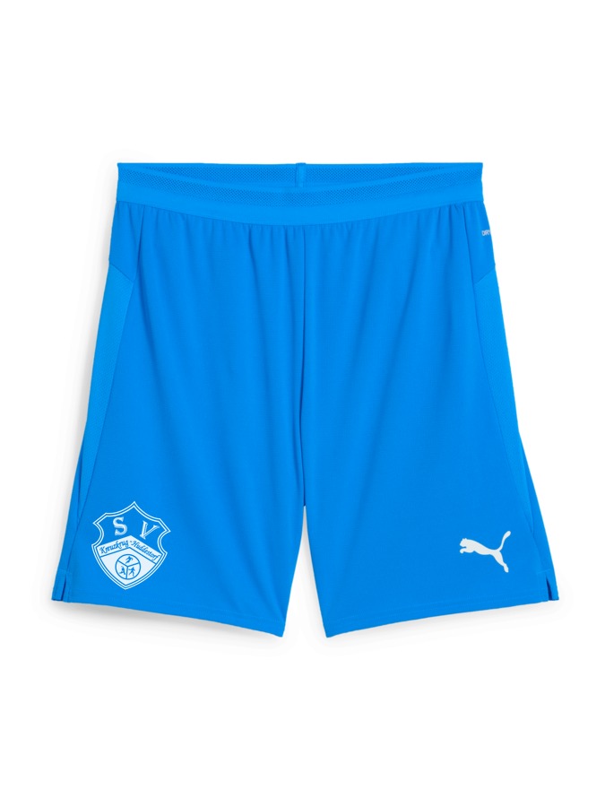 PUMA teamCUP Shorts