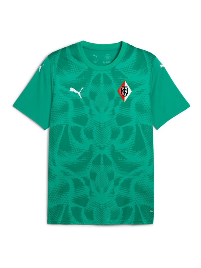 PUMA teamULTIMATE Trikot