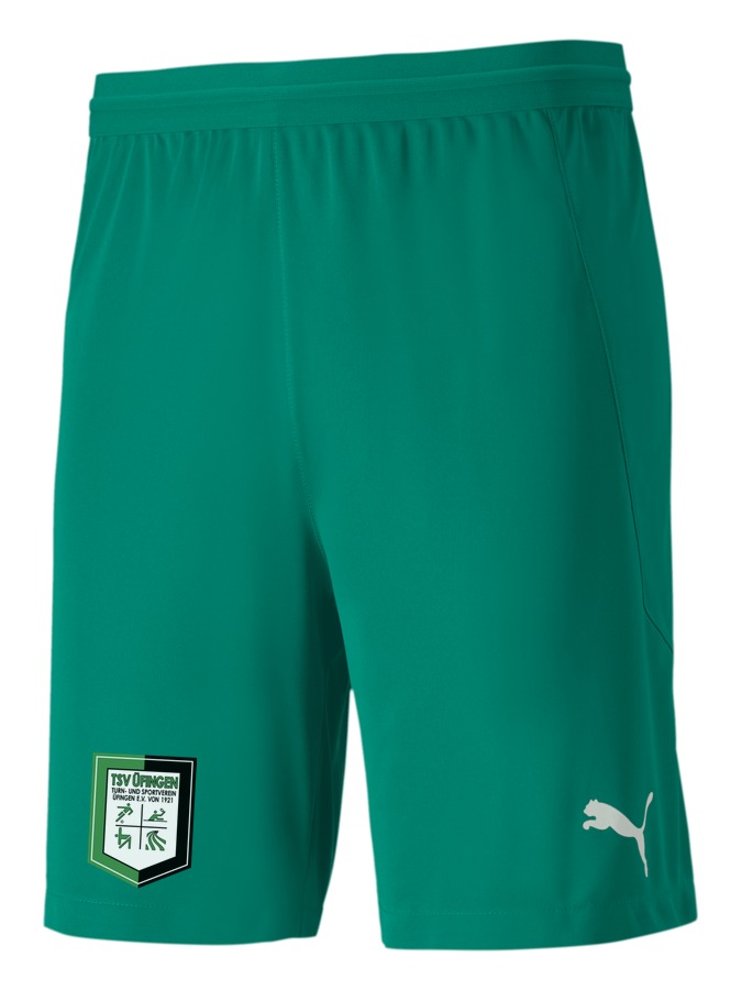 PUMA teamFINAL 21 Knit Shorts