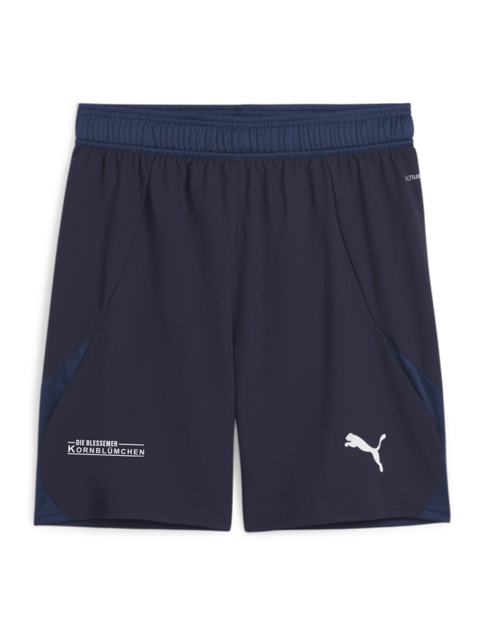PUMA teamFINAL Shorts