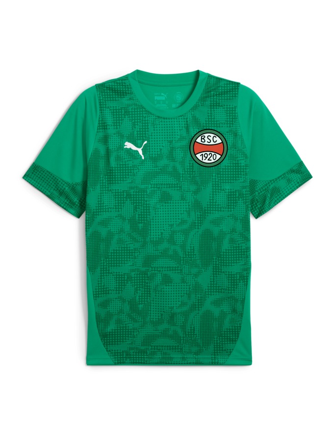 PUMA teamCUP Trainingsshirt
