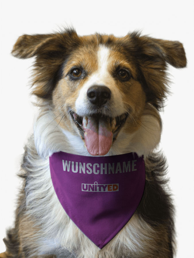 Hundehalstuch