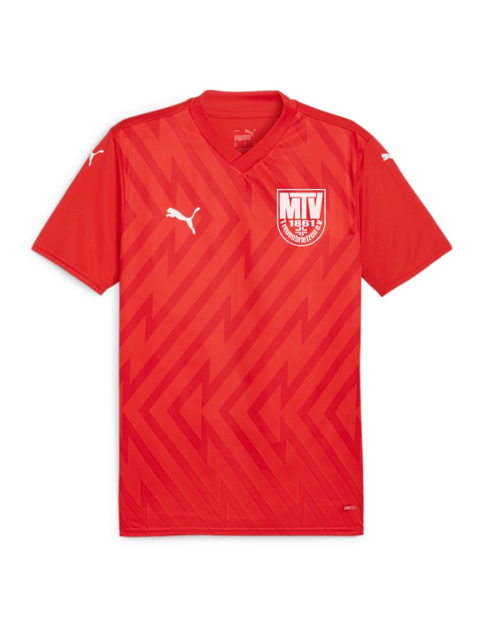 PUMA teamGLORY Trikot