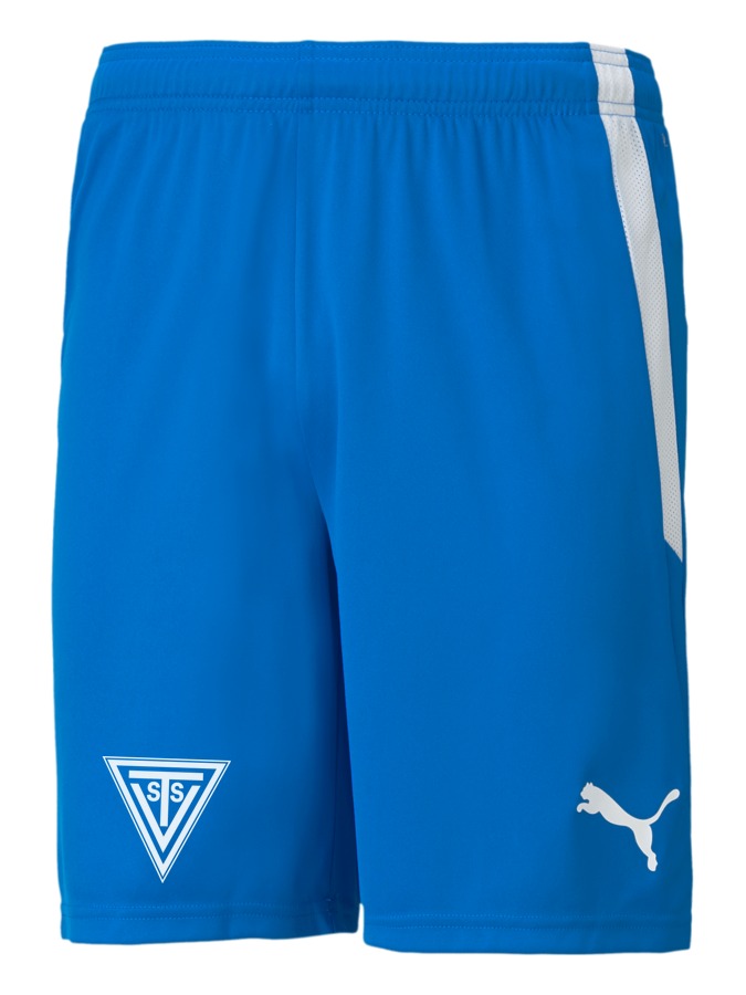 PUMA teamLIGA Shorts