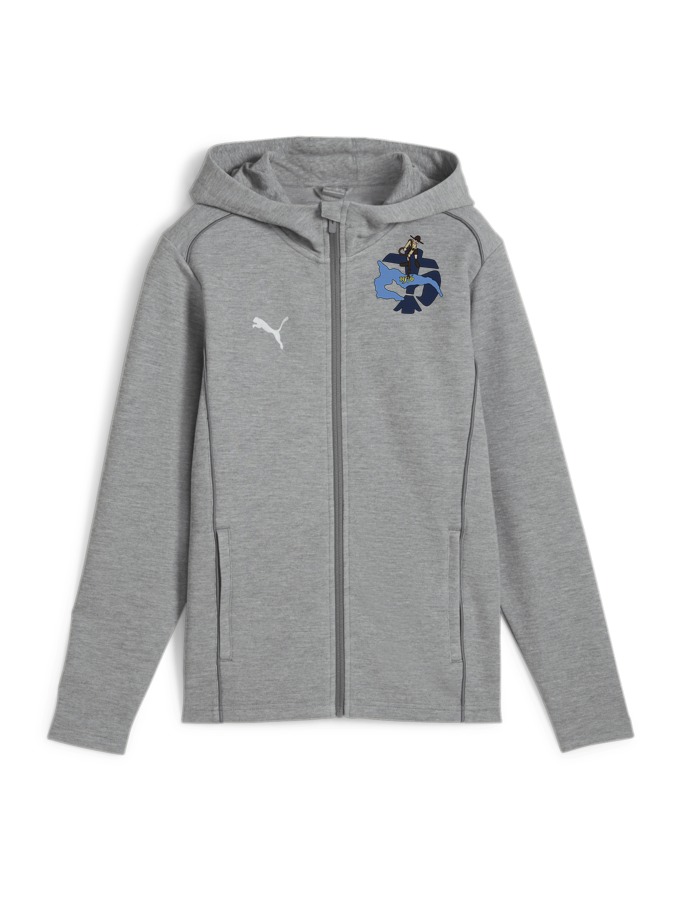 PUMA teamFINAL Casuals Kapuzenjacke