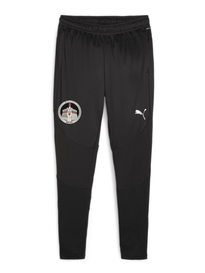 PUMA teamFINAL Trainingshose