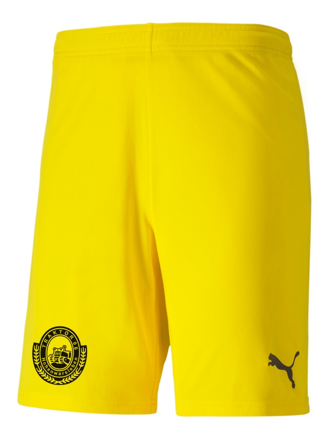 PUMA teamGOAL 23 Knit Shorts