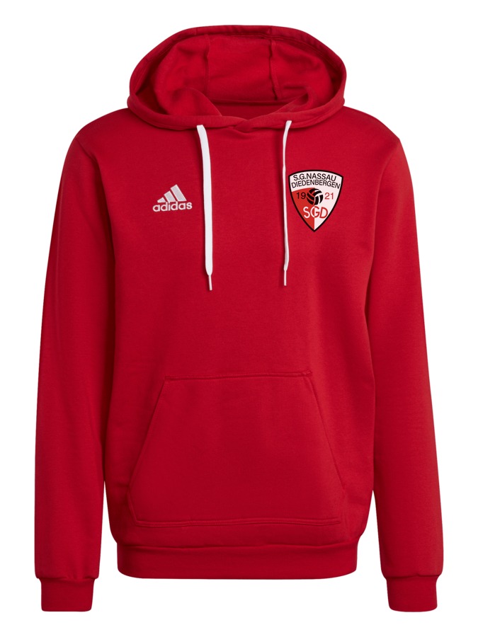 adidas Entrada 22 Hoodie