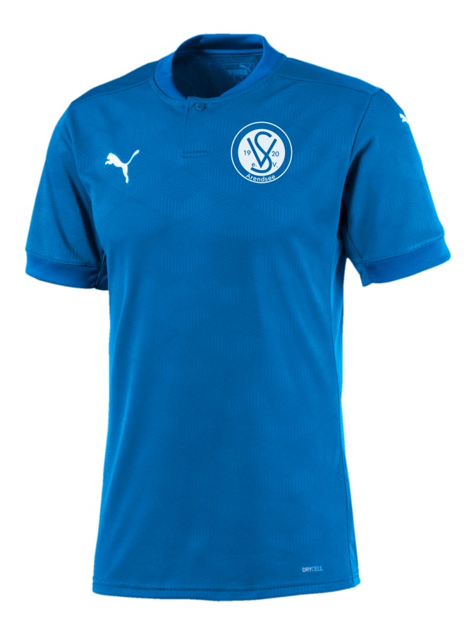 PUMA teamFINAL 21 Trikot