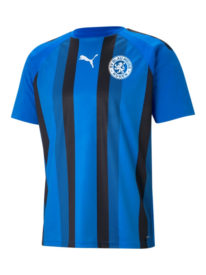 PUMA teamLIGA Striped Trikot