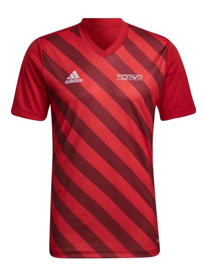 adidas Entrada 22 GFX Trikot