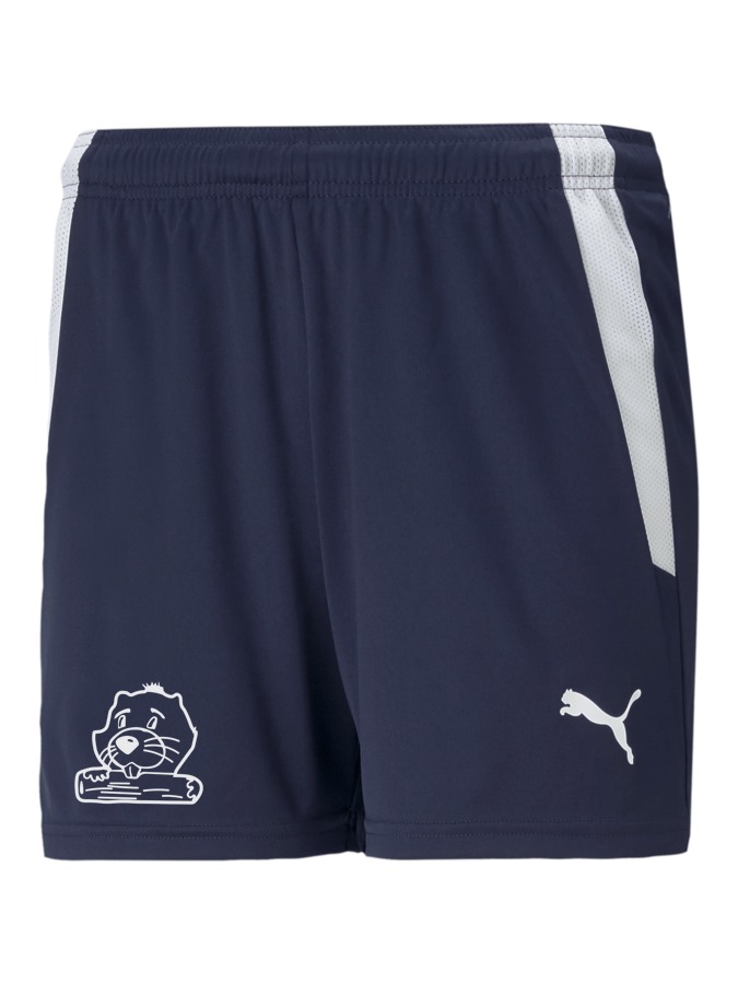 PUMA teamLIGA Shorts Damen