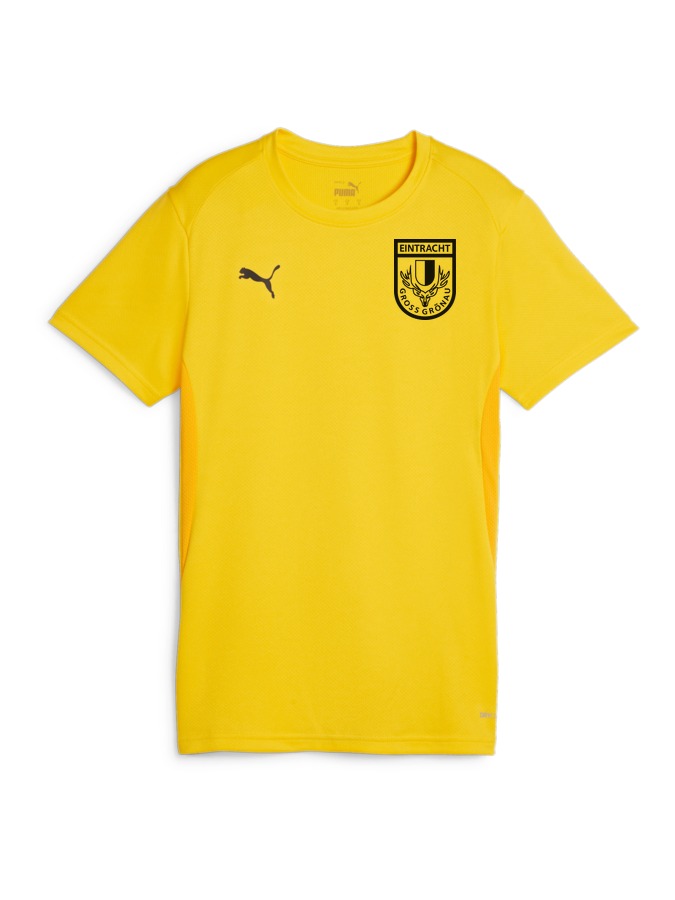 PUMA teamGOAL Trikot Damen