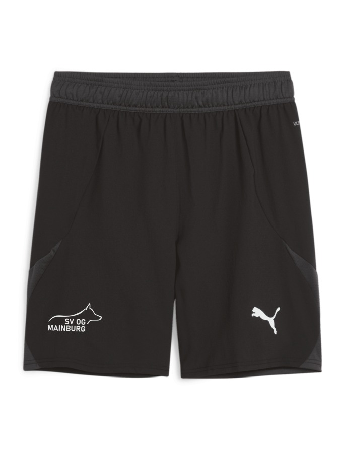 PUMA teamFINAL Shorts