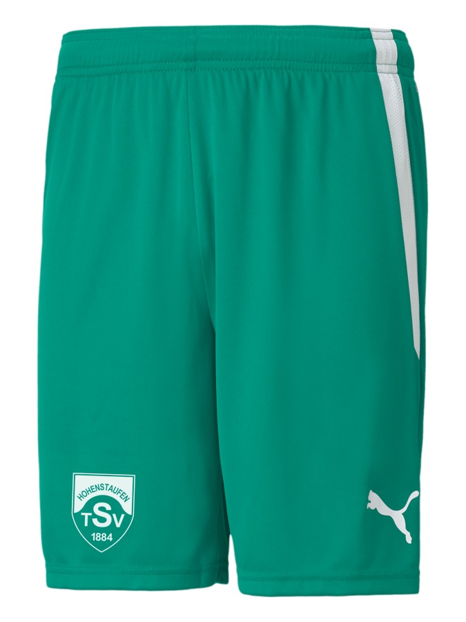 PUMA teamLIGA Shorts