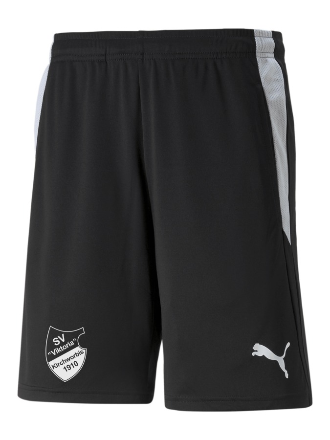 PUMA teamLIGA Referee Shorts