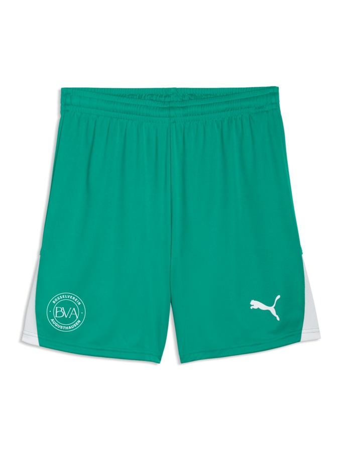 PUMA teamLIGA26 Shorts
