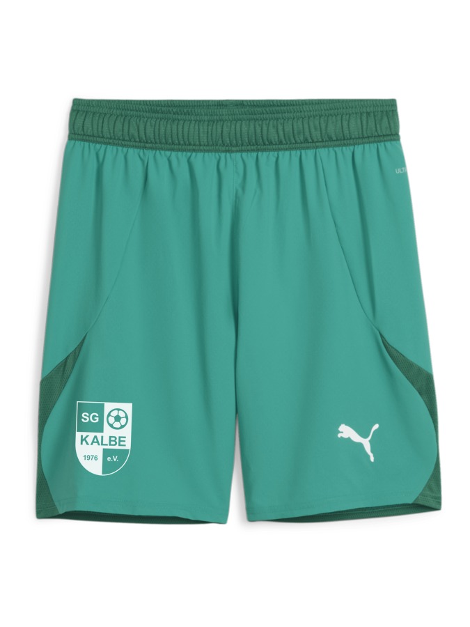 PUMA teamFINAL Shorts