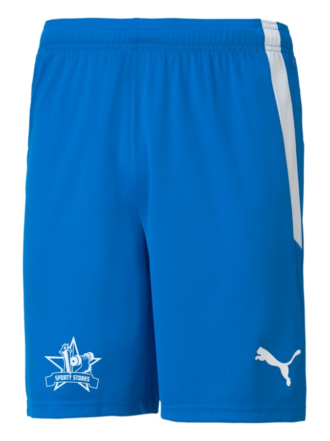 PUMA teamLIGA Shorts