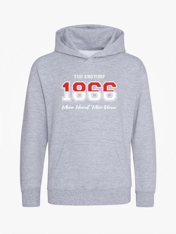 Hoodie Established Kids