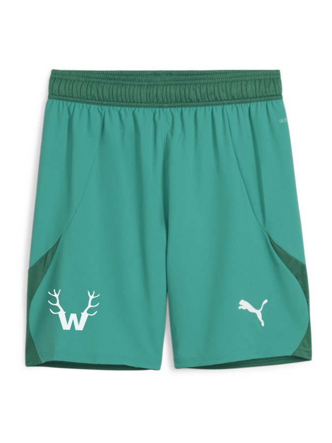 PUMA teamFINAL Shorts