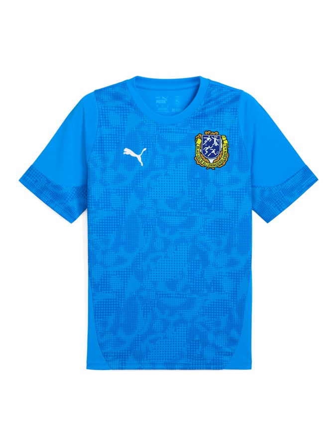 PUMA teamCUP Trainingsshirt
