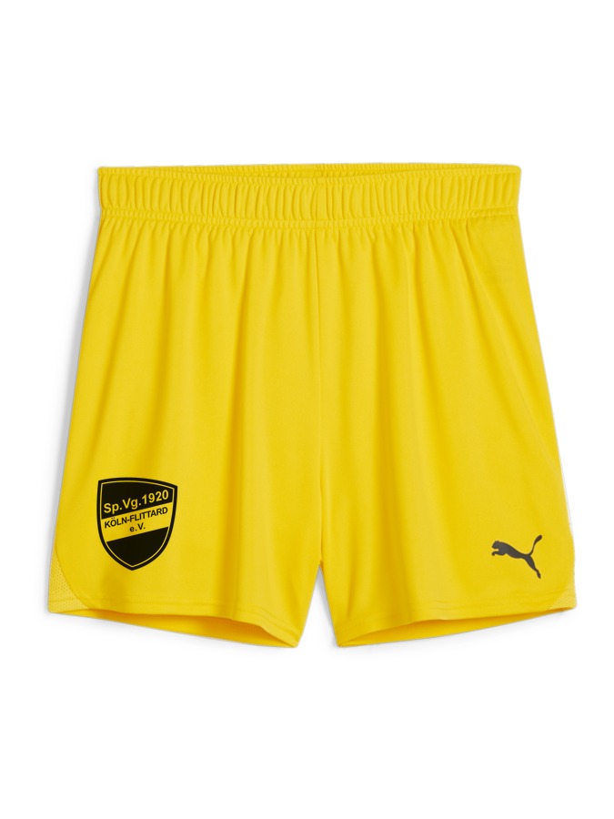 PUMA teamGOAL Handballshorts Damen