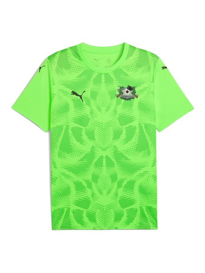 PUMA teamULTIMATE Trikot
