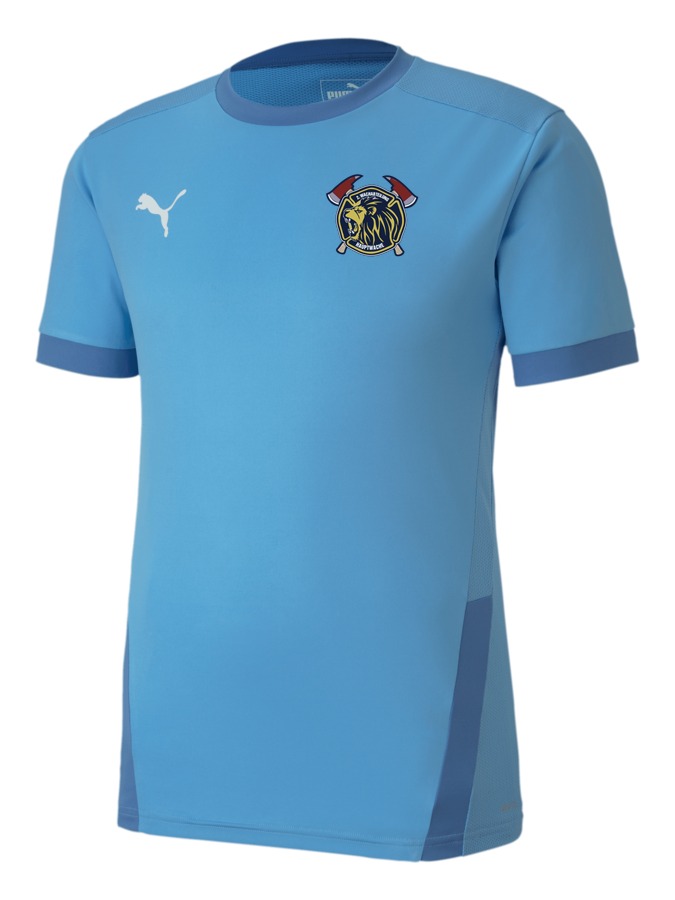 PUMA teamGOAL 23 Trikot