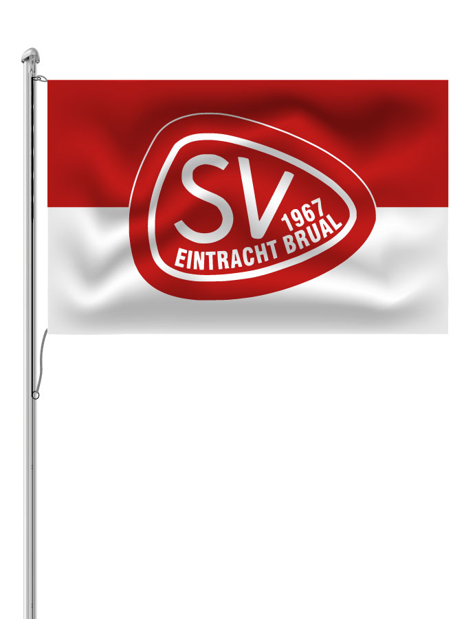 Hissfahne Logo