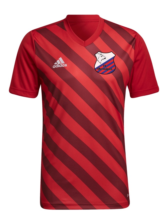adidas Entrada 22 GFX Trikot