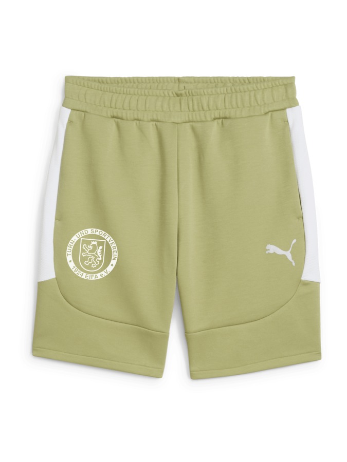 PUMA teamEVOSTRIPE Shorts