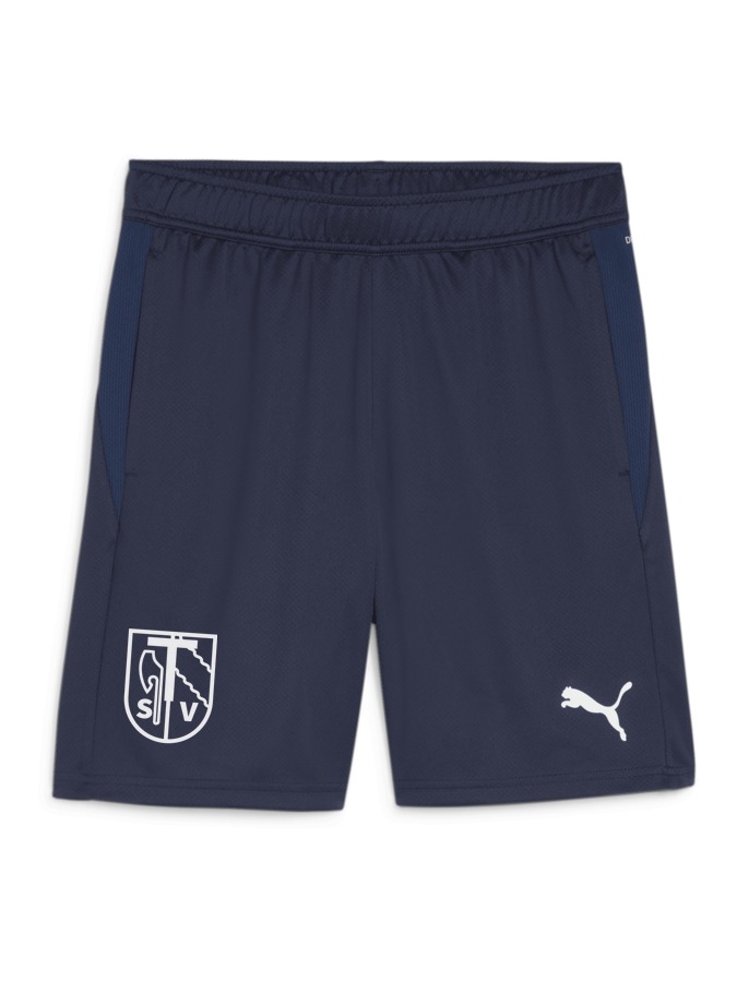 PUMA teamGOAL Training Short