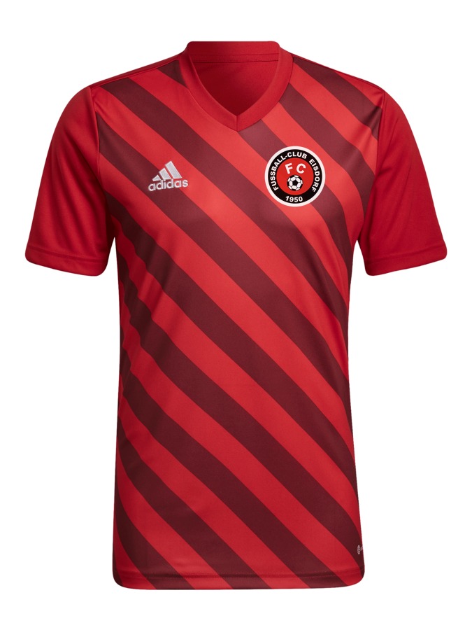 adidas Entrada 22 GFX Trikot