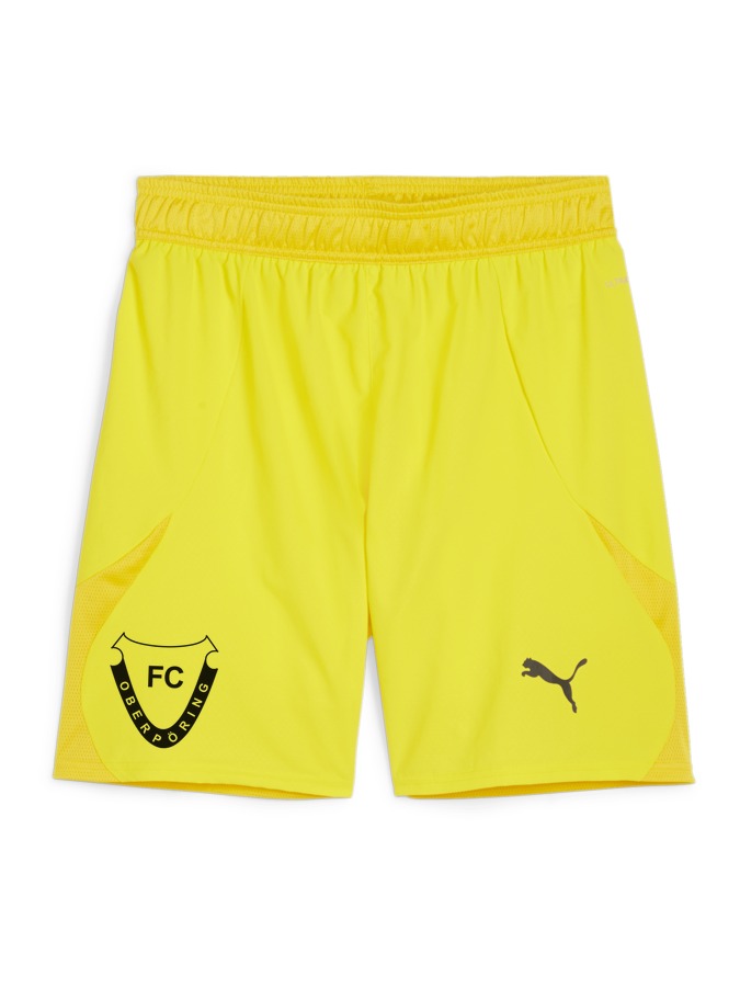 PUMA teamFINAL Shorts