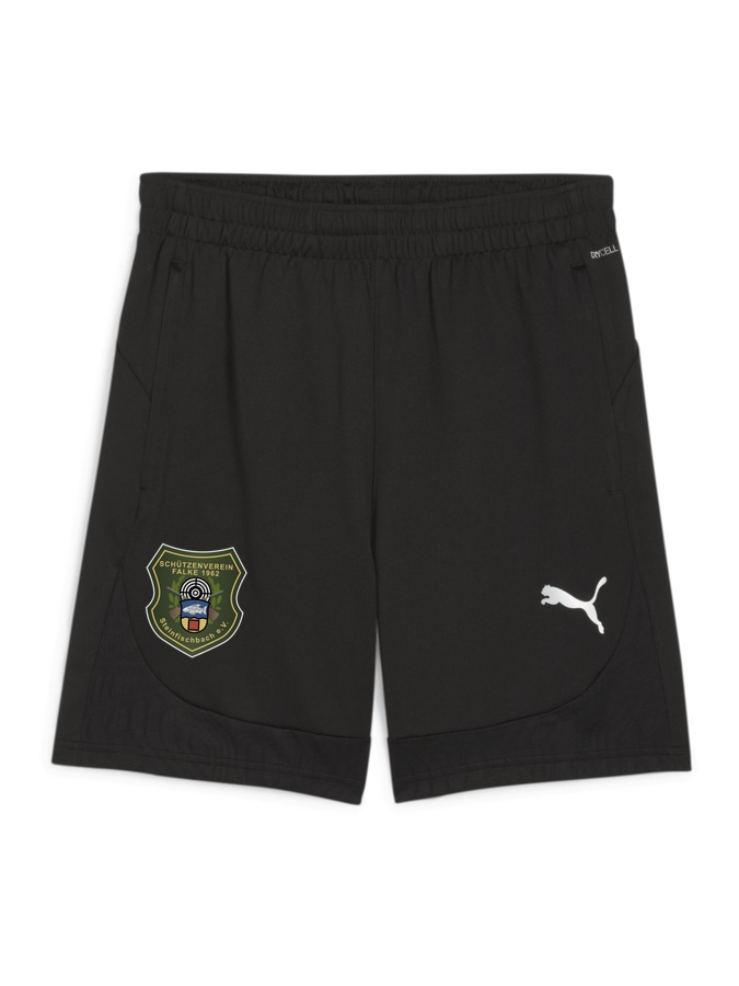 PUMA teamFINAL Training Shorts