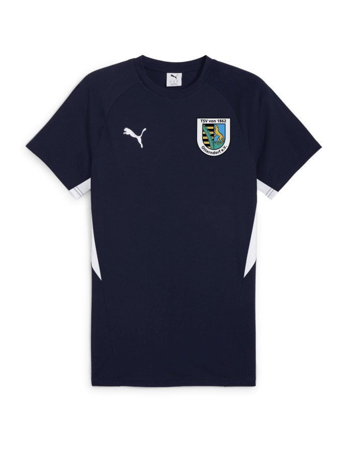 PUMA teamEVOSTRIPE T-Shirt