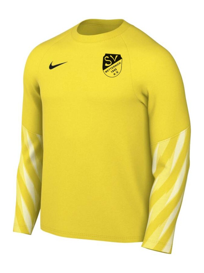 Nike Dri-FIT Park V Torwart Trikot Langarm