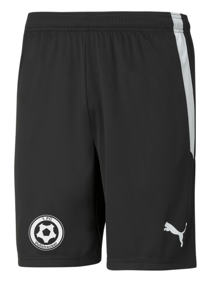 PUMA teamLIGA Shorts