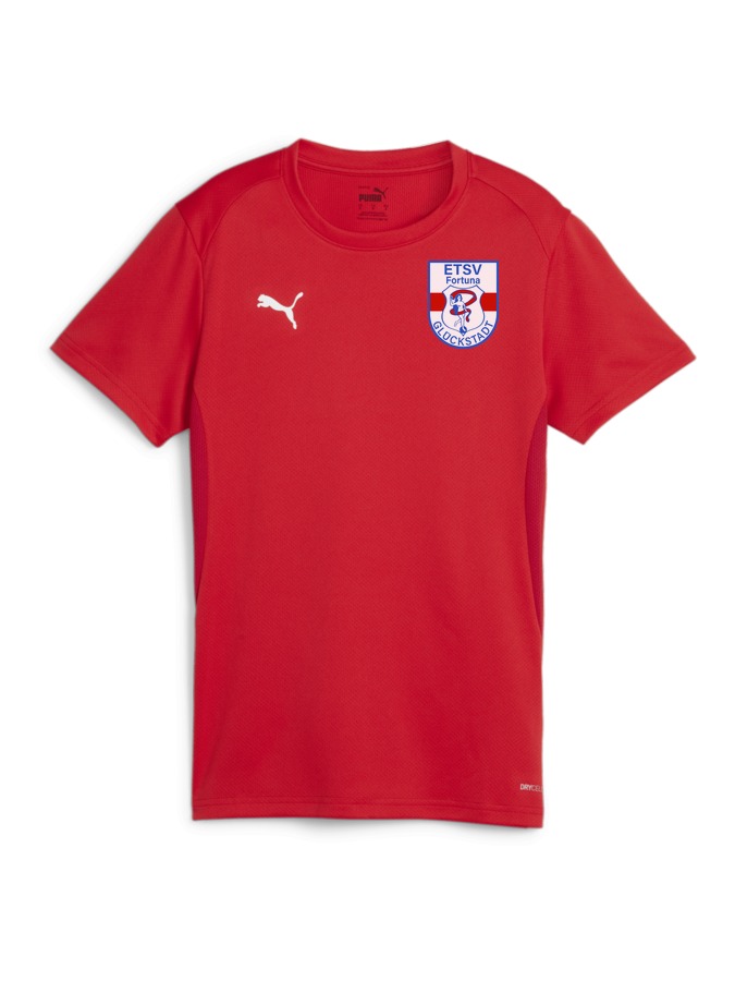 PUMA teamGOAL Trikot Damen