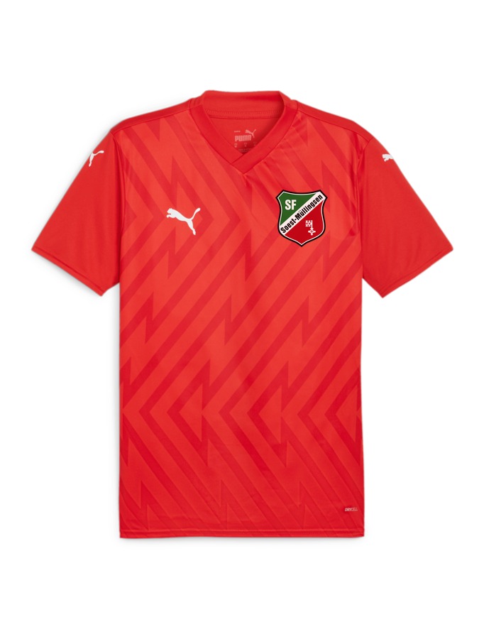 PUMA teamGLORY Trikot