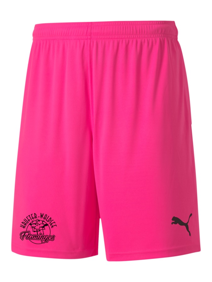PUMA teamGOAL 23 Knit Shorts