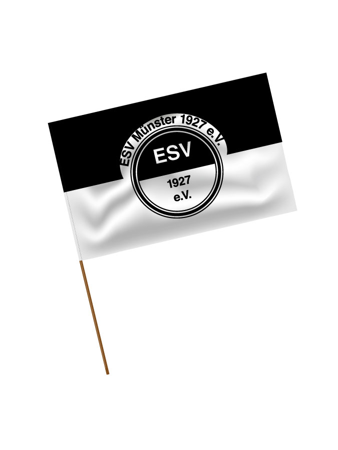 Stadionfahne Logo
